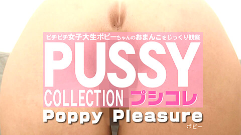 Poppy Pleasure パイパン kin8tengoku ポピー・プレシュア